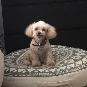 Meet your Posher, Aurora